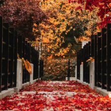 Podcast da ascoltare a novembre 2025: 5 consigli